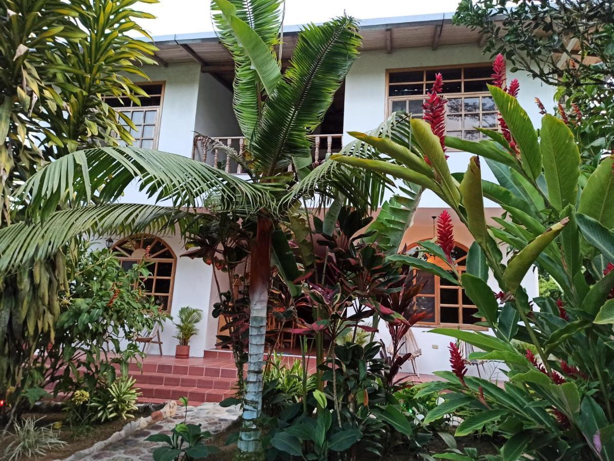 Banana Lodge Puerto Misahuallí Exterior foto