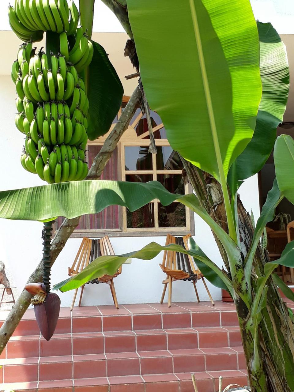 Banana Lodge Puerto Misahuallí Exterior foto